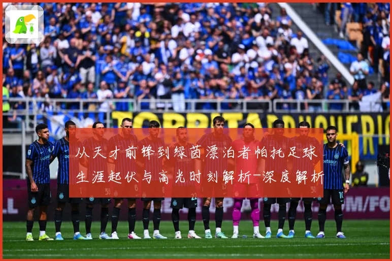 从天才前锋到绿茵漂泊者帕托足球生涯起伏与高光时刻解析-深度解析