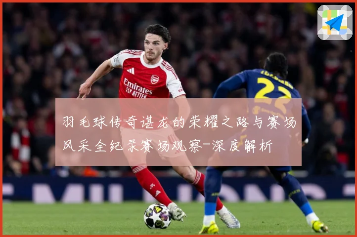 羽毛球传奇谌龙的荣耀之路与赛场风采全纪录赛场观察-深度解析