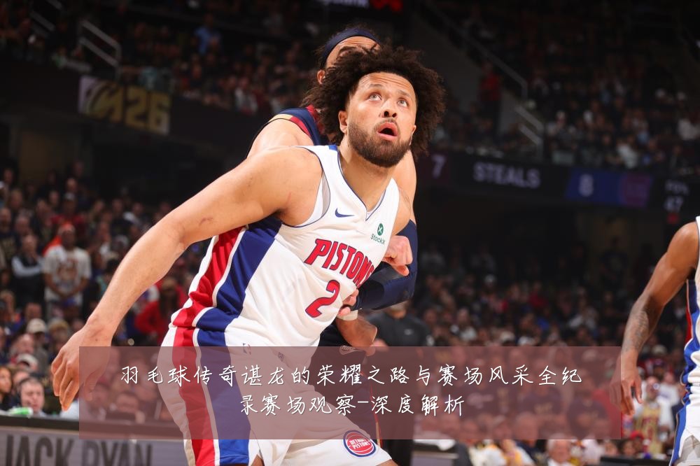 羽毛球传奇谌龙的荣耀之路与赛场风采全纪录赛场观察-深度解析